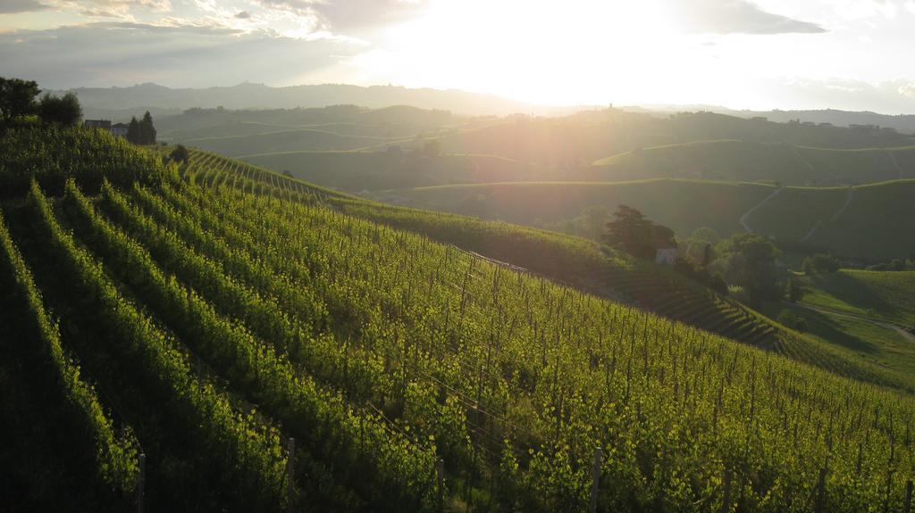 Holiday Home Cannubi In Barolo Zewnętrze zdjęcie