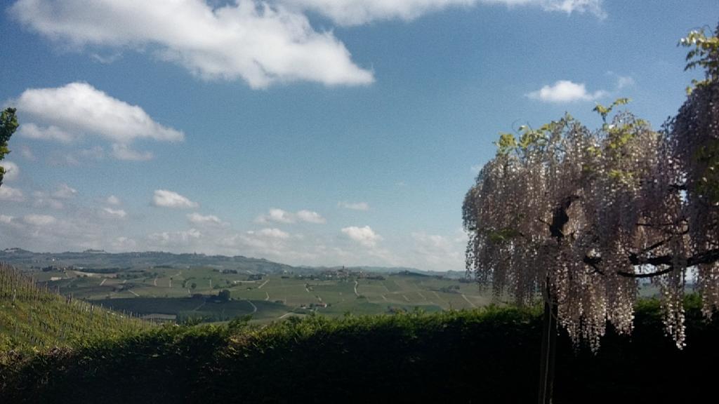 Holiday Home Cannubi In Barolo Zewnętrze zdjęcie